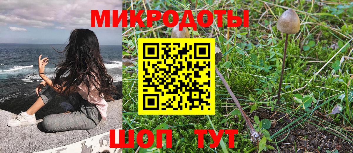 Псилоцибиновые грибы Psilocybe  Вход с VPN  Старая Купавна  Псилоцибиновые грибы прущие грибы 