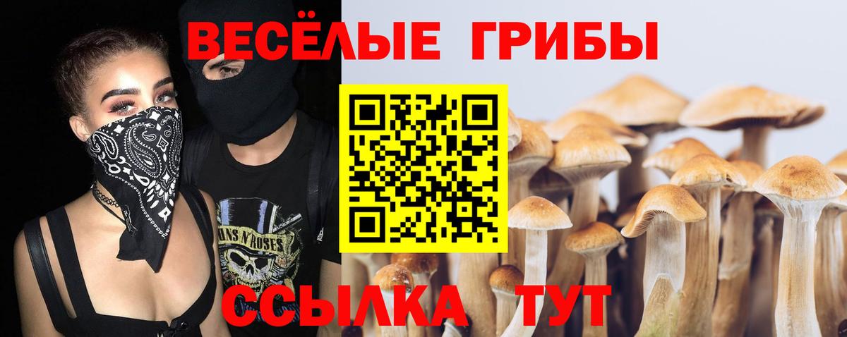 Псилоцибиновые грибы ЛСД Старая Купавна
